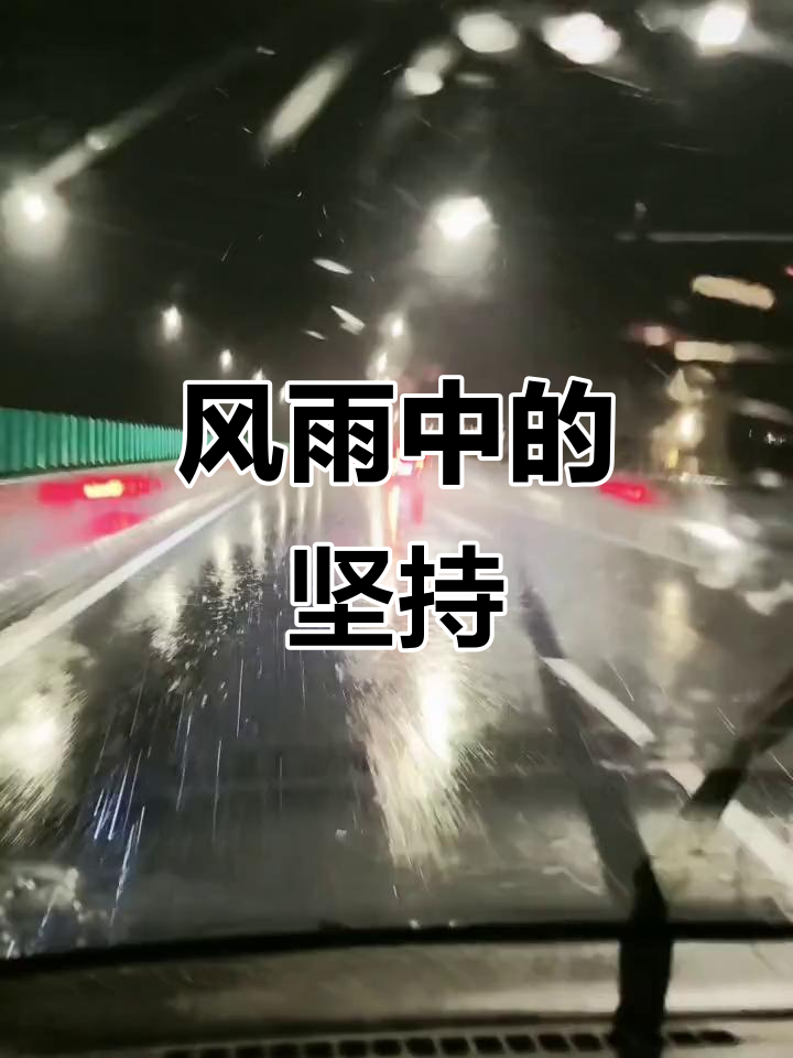 尽显风采，一路向前无畏风雨